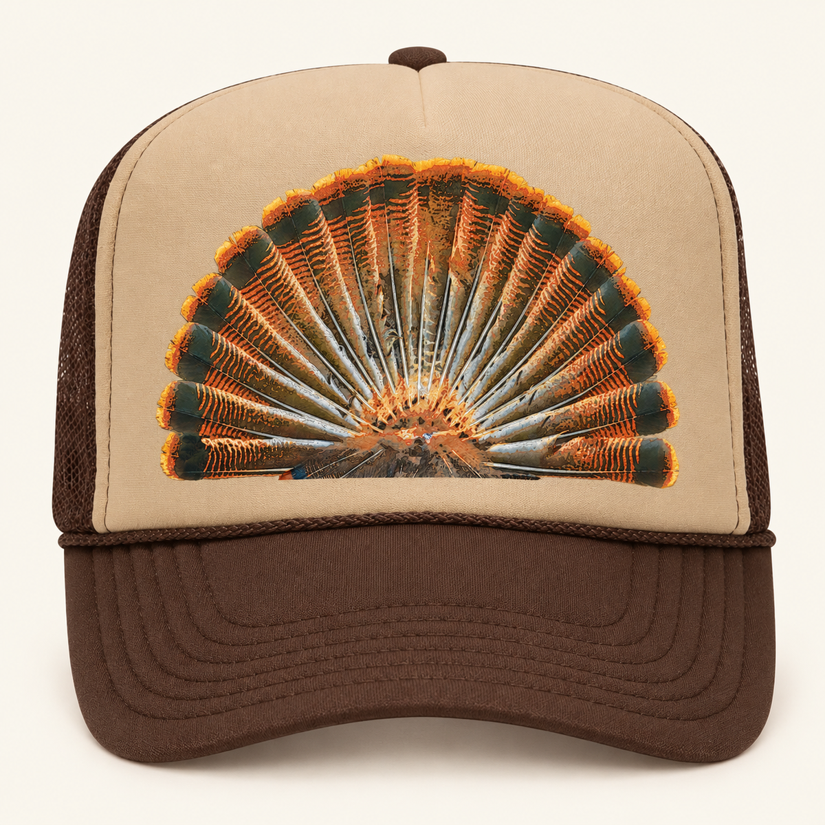 Turkey Feathers