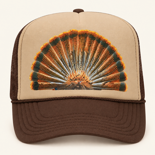 Turkey Feathers image 1