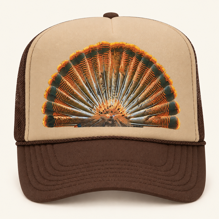 Turkey Feathers