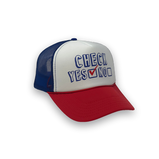 Check Yes or No image 2