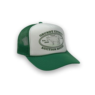 Grundy County Auction image 2